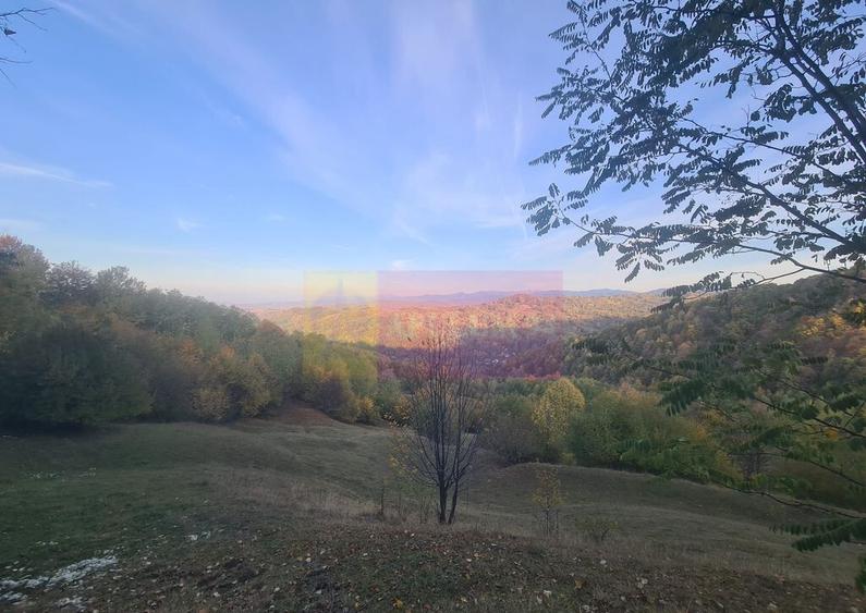 Teren intravilan de vanzare in Telega - 29