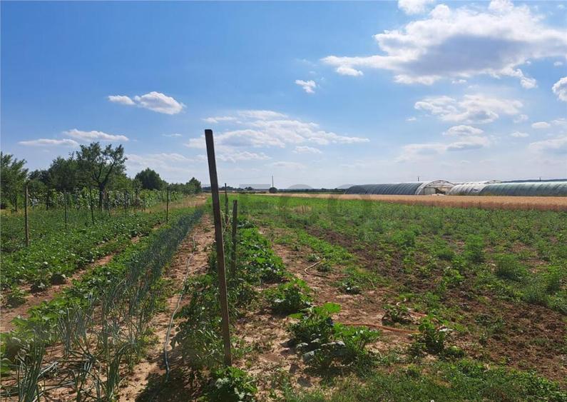 RECO Casa in Sanlazar - 8