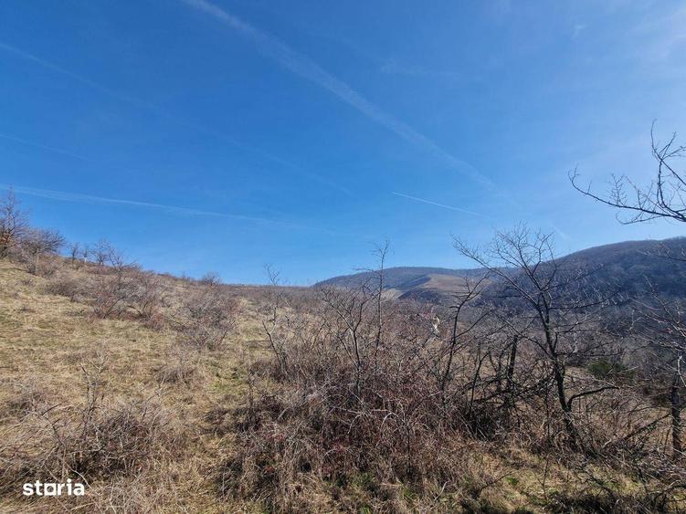 Teren extravilan, 23 400 mp, Cuvin (Ghioroc) - 2