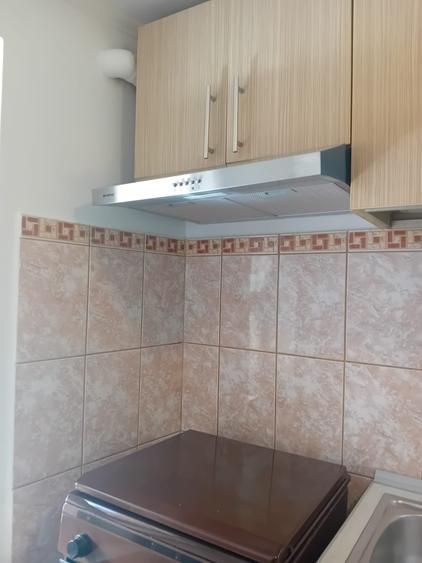 Apartament 2 Camere,la curte,Iancului,Matei Voievod,parter,DECOMANDAT,centrala - 23