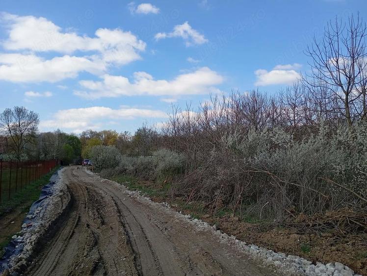 Teren intravilan Giroc ideal investitie - 4