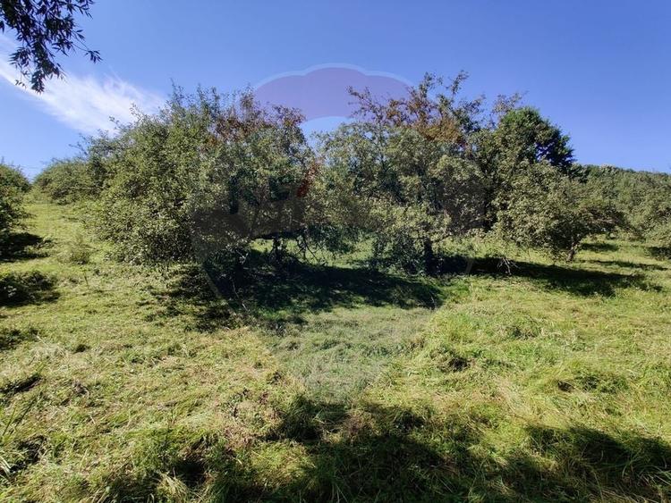 Teren intravilan in Remetea Chioarului - 3