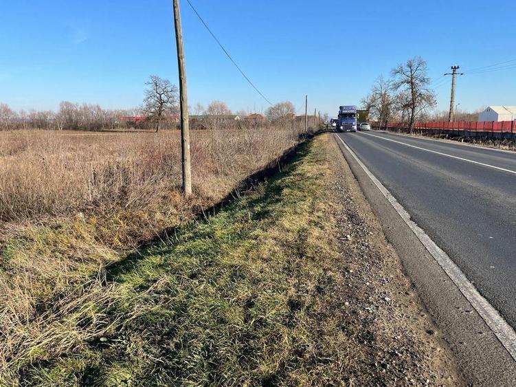 Teren intravilan, Sacadat, 27 921 mp. 9,5 Euro/mp. Comision 0. - 11