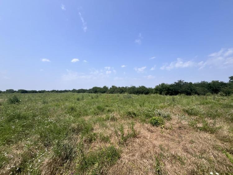 Teren De Vanzare - Oportunitate Investitie - Pretabil Hale/Cartier Rezidential - 4