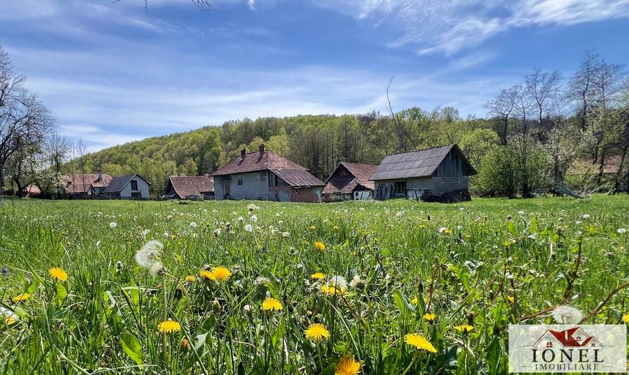 Casă individuală cu 4 camere cu Teren 3992 Mp în Almașu Mare