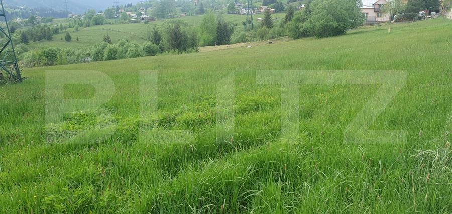 Teren Construcții intravilan de 9964 mp, în Vatra Dornei