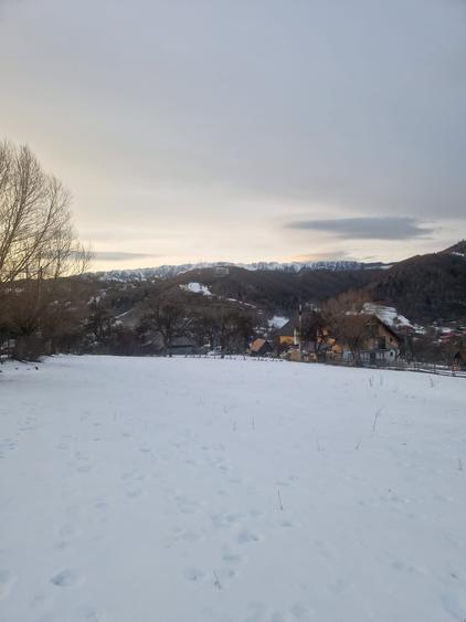 Teren de 1500 mp, în Moieciu