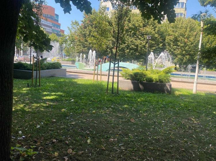 Apartament cu 3 camere decomandat în Dobroești