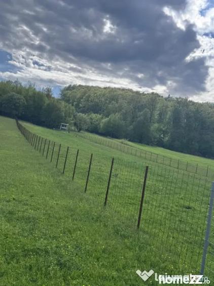 Teren de 2500 mp, în Marginea