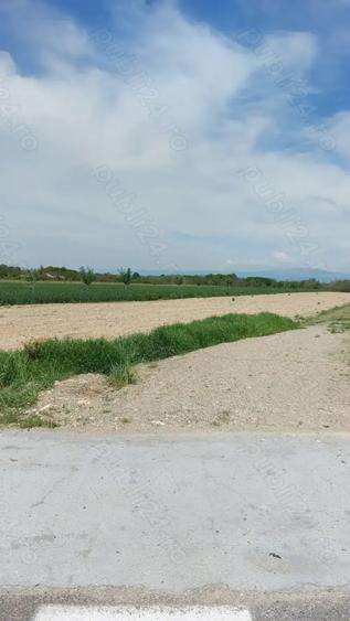 Teren în Galicea