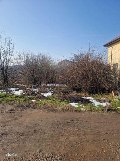 Teren intravilan de vanzare, Jilava, Strada Garii - 4