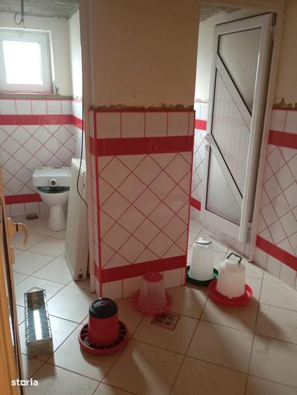 Hala de productie potrivita si pentru activitati de service auto - 10