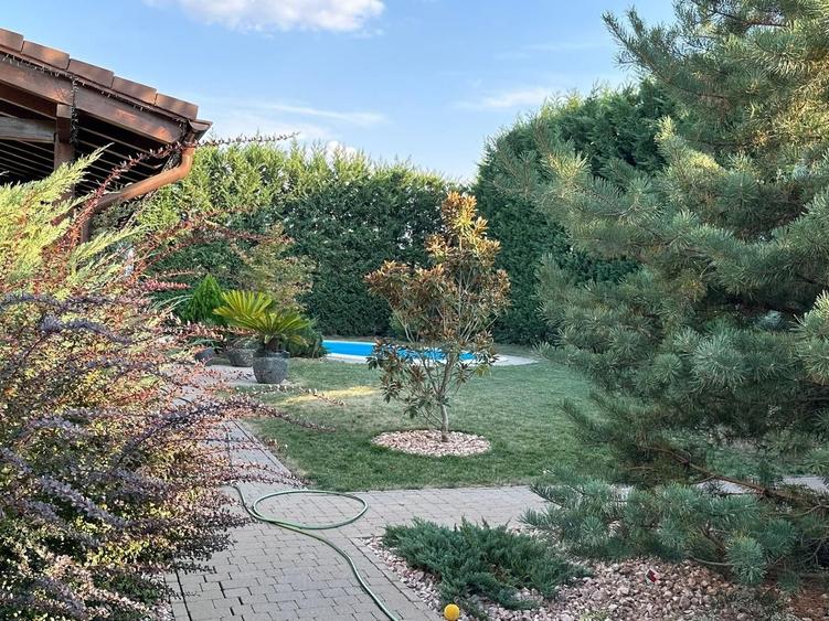 Casa individuala, in Dumbravita, langa padure - 22