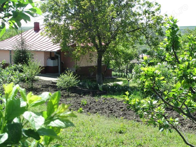 Vanzare Casa Fartanesti Galati - 5