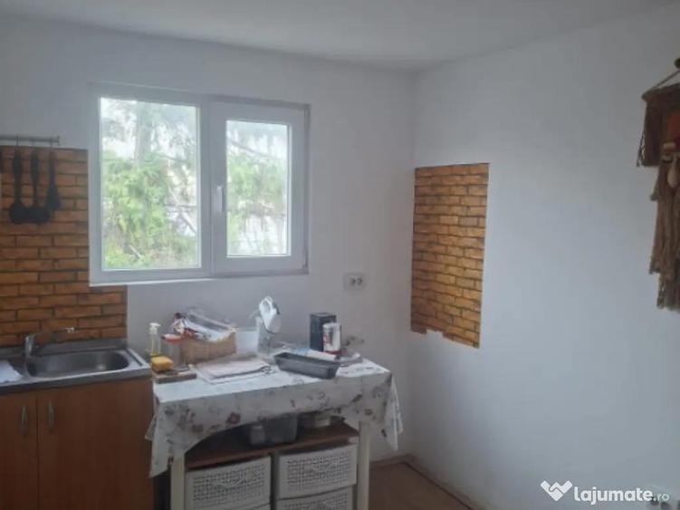 Casa individuala, 125 mp, zona Pictor Rosenthal - 10