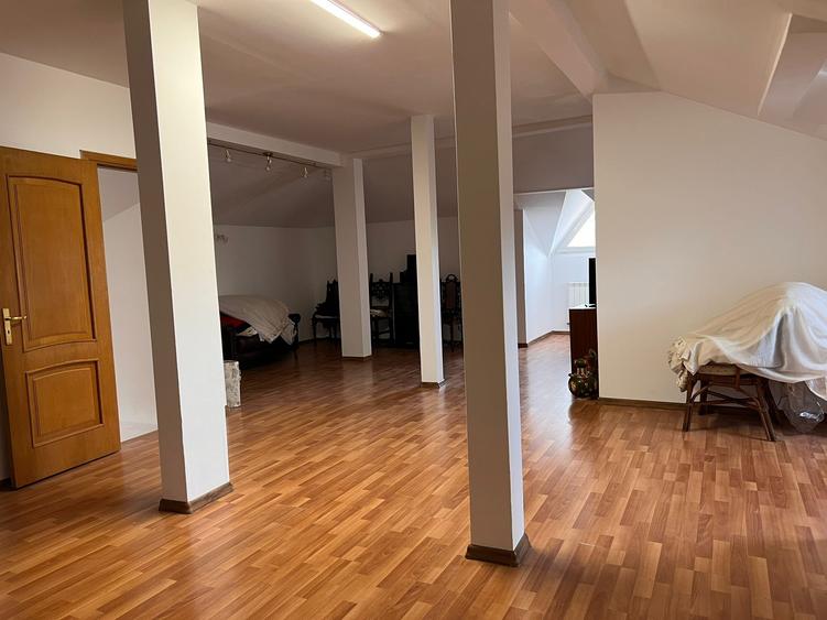 Vila deosebita 11 camere Erou Iancu Nicolae - 17