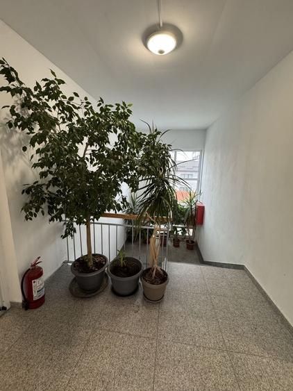 Birou, de 300 mp, în Giurgiului
