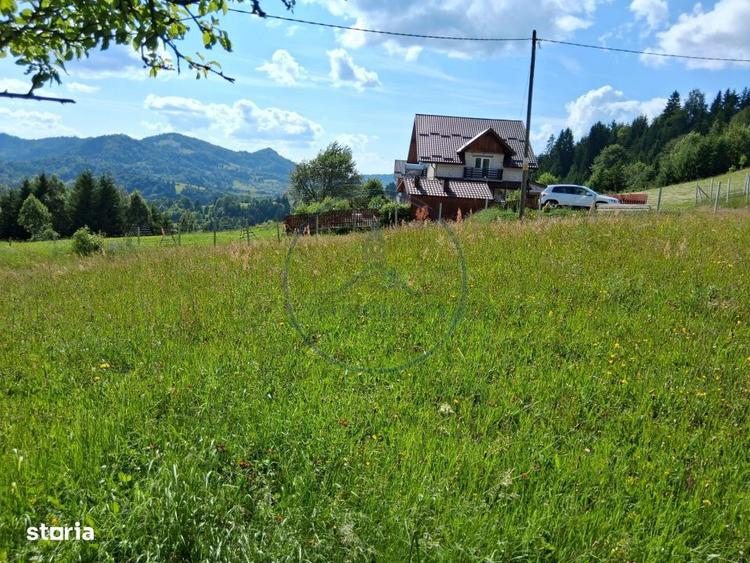 Teren Colibita 1346 mp - 2