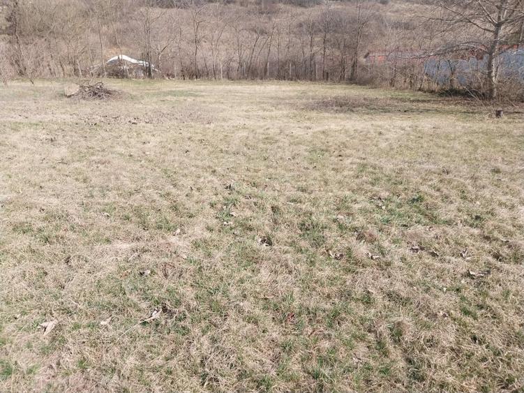 Casa individuala 180 mp zona Viticultori - 6