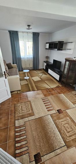 Apartament 2 camere in vila la curte - 10