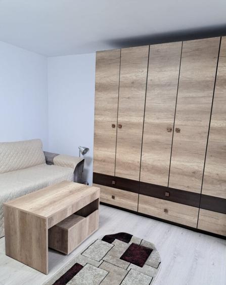 Proprietar ofer Super garsoniera drumul sarii - 8