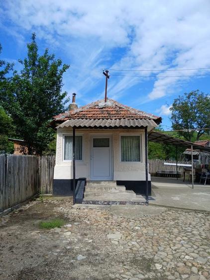 Proprietate de vanzare, sat Paclele, jud Buzau - 8