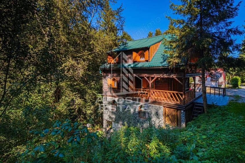 Pensiune, casa de vacanta, 6 camere, statiunea Rausor din Hunedoara - 12