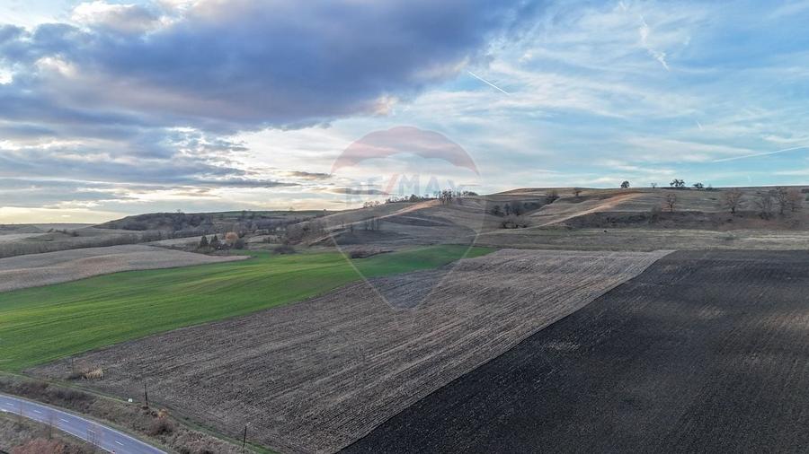 Teren extravilan de vanzare 27.402 mp/Agnita - 4