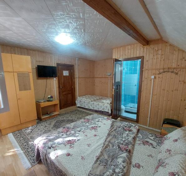 Pensiune turistica (afacere la cheie) Lepsa - 14