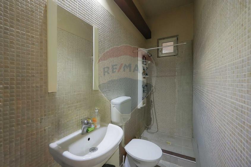 Casa / Vila cu 4 camere de vanzare Ultracentral Str. Louis Pasteur - 11