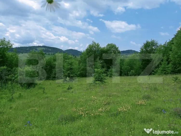 Teren intravilan de vanzare, 30.121 mp, Trance?ti, Scari - 1