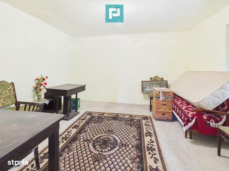 Casa cu teren generos, 4.000 mp, Chijic Bihor - 5