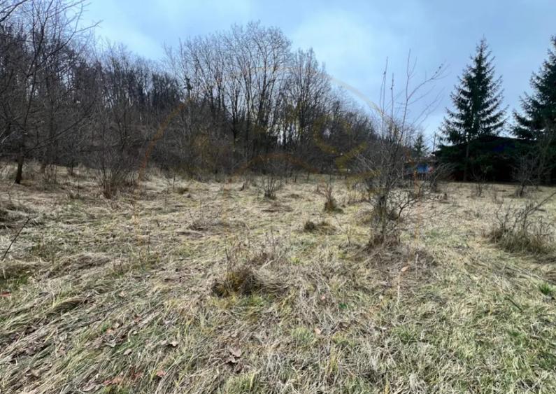 Teren intravilan 6.500 m2Deschidere 144 ml drum european - 2