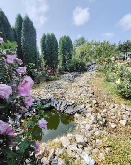 Casa cu mobilier premium ?i gradina spectaculoasa in Ta - 8