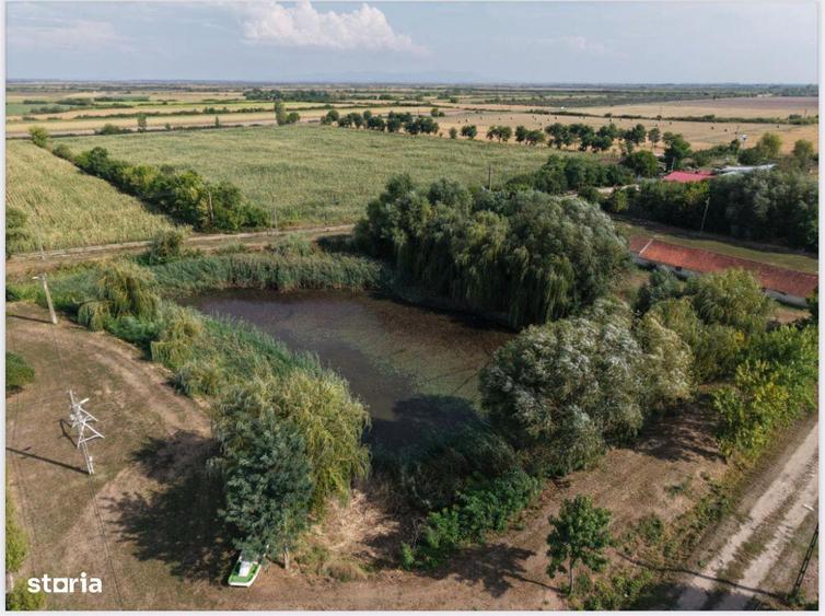 Spatiu multifunctional Salonta - 1