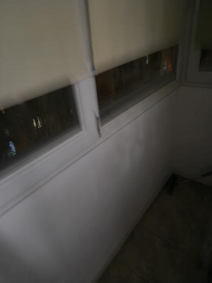 COLENTINA RAU, MAIOR BACILA IN PLAN SECUND, PARCUL PLUMBUITA LA 5MIN. - 4