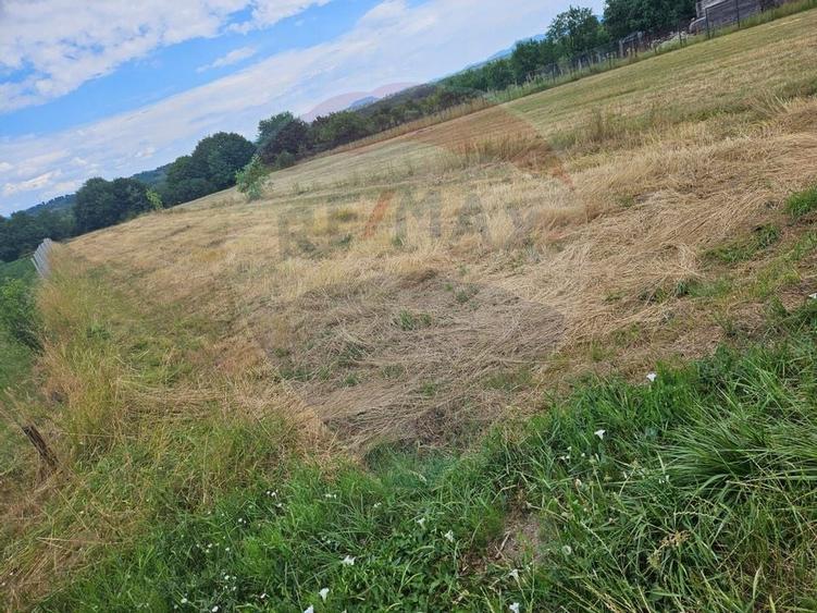 Teren 1,945mp Sarasau / Drumul PRINCIPAL - 2