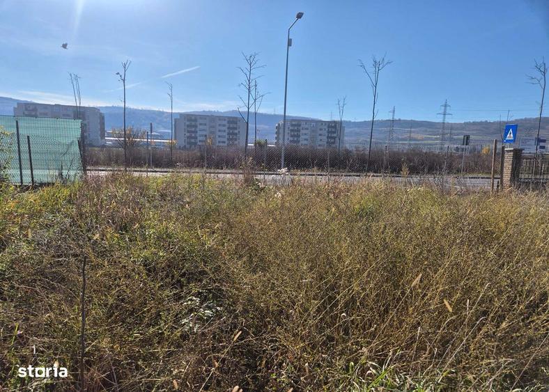 Teren /Casa De Vanzare , 1.580 , Avram Iancu - 4