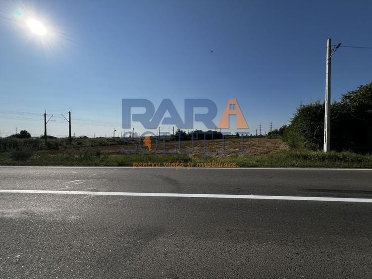 Teren între Cordun și E85 - 2