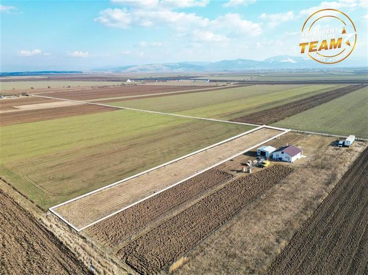 Liniste si aer curat in proximitatea Municipiului Sfantu Gheorghe - 20