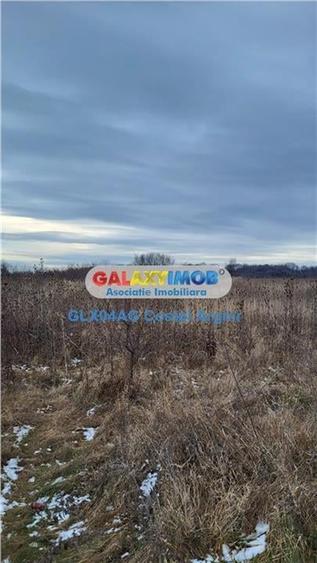 Vindem teren intravilan 3500 mp Smeura - 5