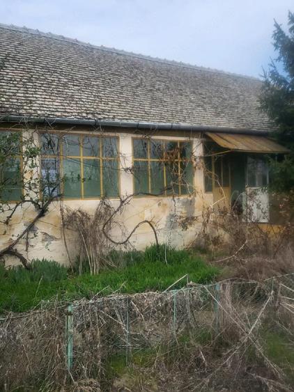 Vand casa in Checea - 2