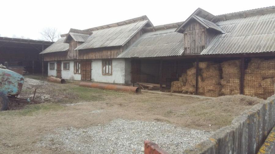 Casa de vanzare cu anexe, hala, beci, Super OFERTA - 1