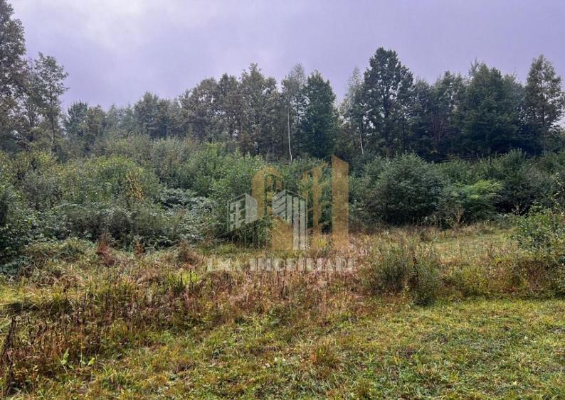 Teren intravilan Sinca Noua - 2