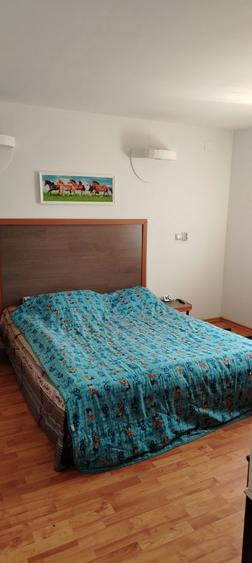 Casa de vanzare in odaia Manolache - 7