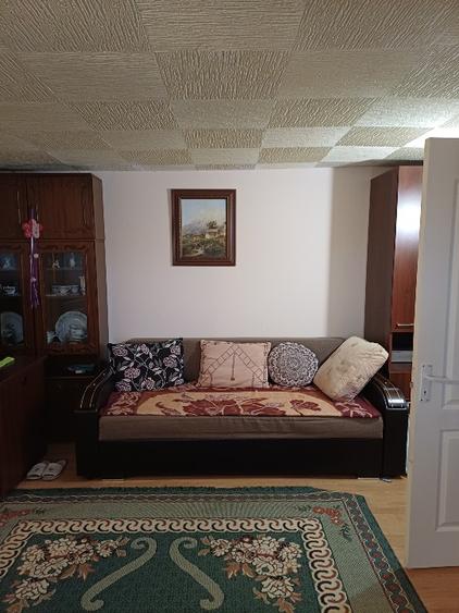 Apartament 2 camere-la vila- ultracentral- langa Aula Universitatii  - 6