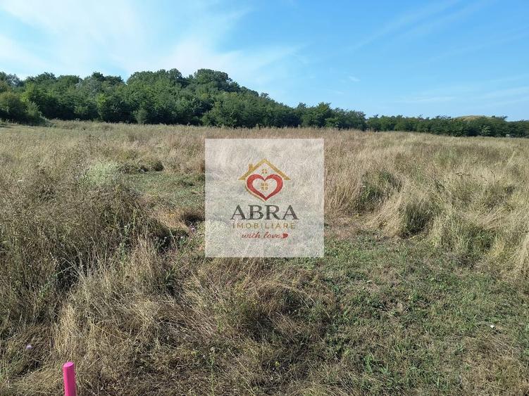 Teren intravilan investitie - 5