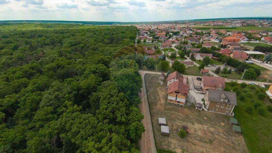 De Vânzare  Pensiunea Laura – 3 Margarete, Sânmartin, Băile Felix - 8