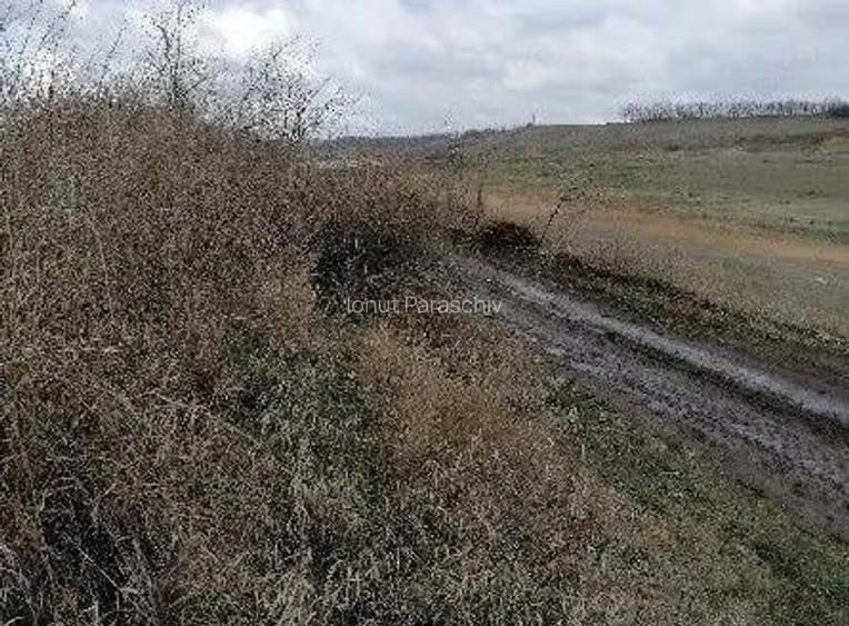 Teren extravilan Tiganasi, cota parte 1/5, ID: R2822453