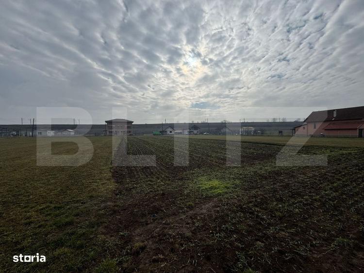 Teren intravilan 1.600 mp | Vintu de Jos | Deschidere ~20 ml | Acces l - 1